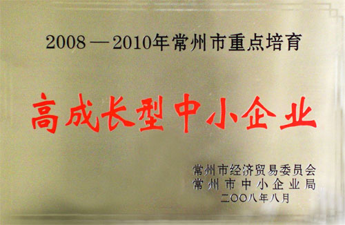 高成長型中小企業(yè)